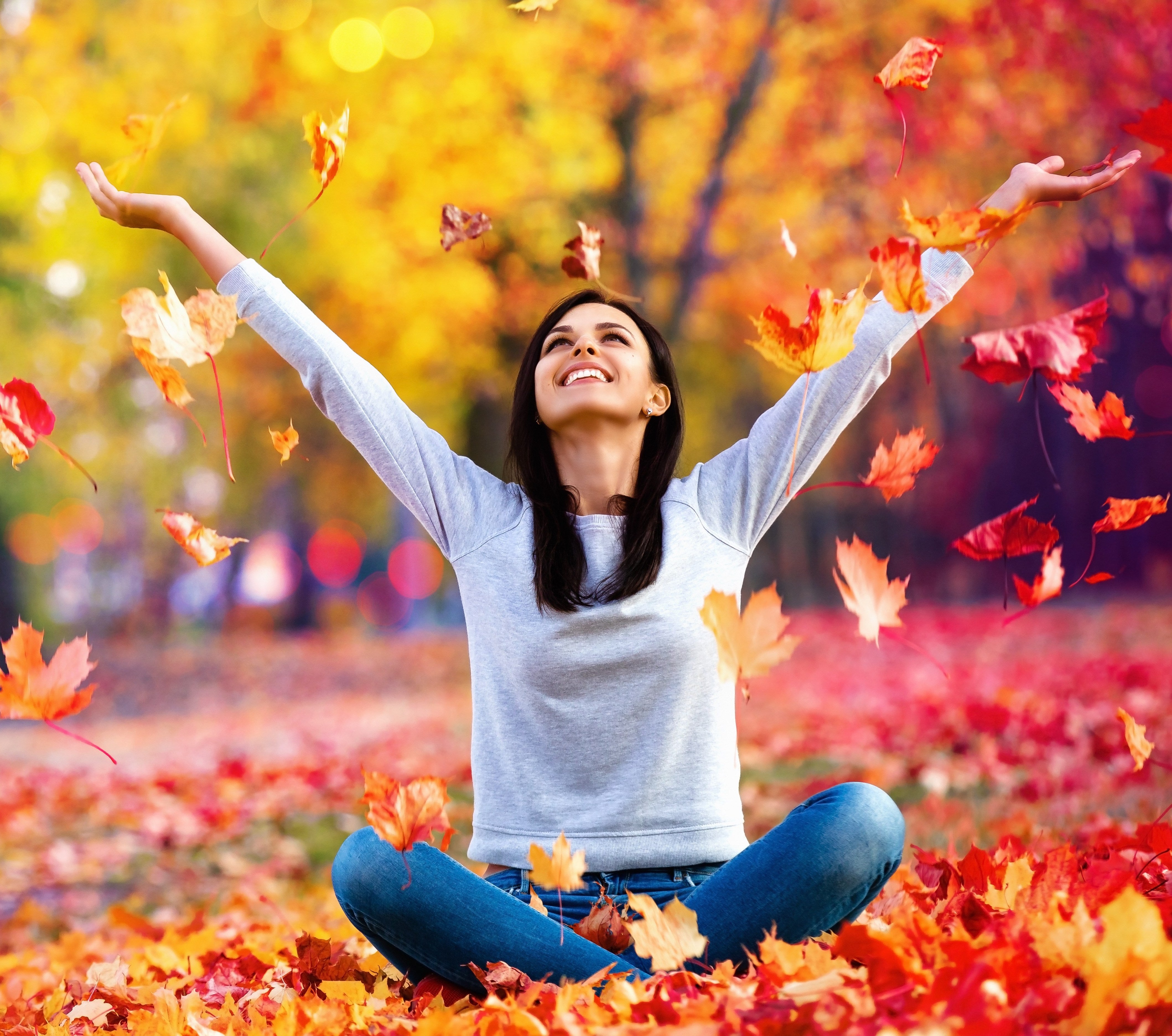 SIBO ARMOUR GALLERY SIBO ARMOUR GALLERY