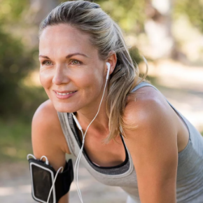 SIBO ARMOUR GALLERY SIBO ARMOUR GALLERY