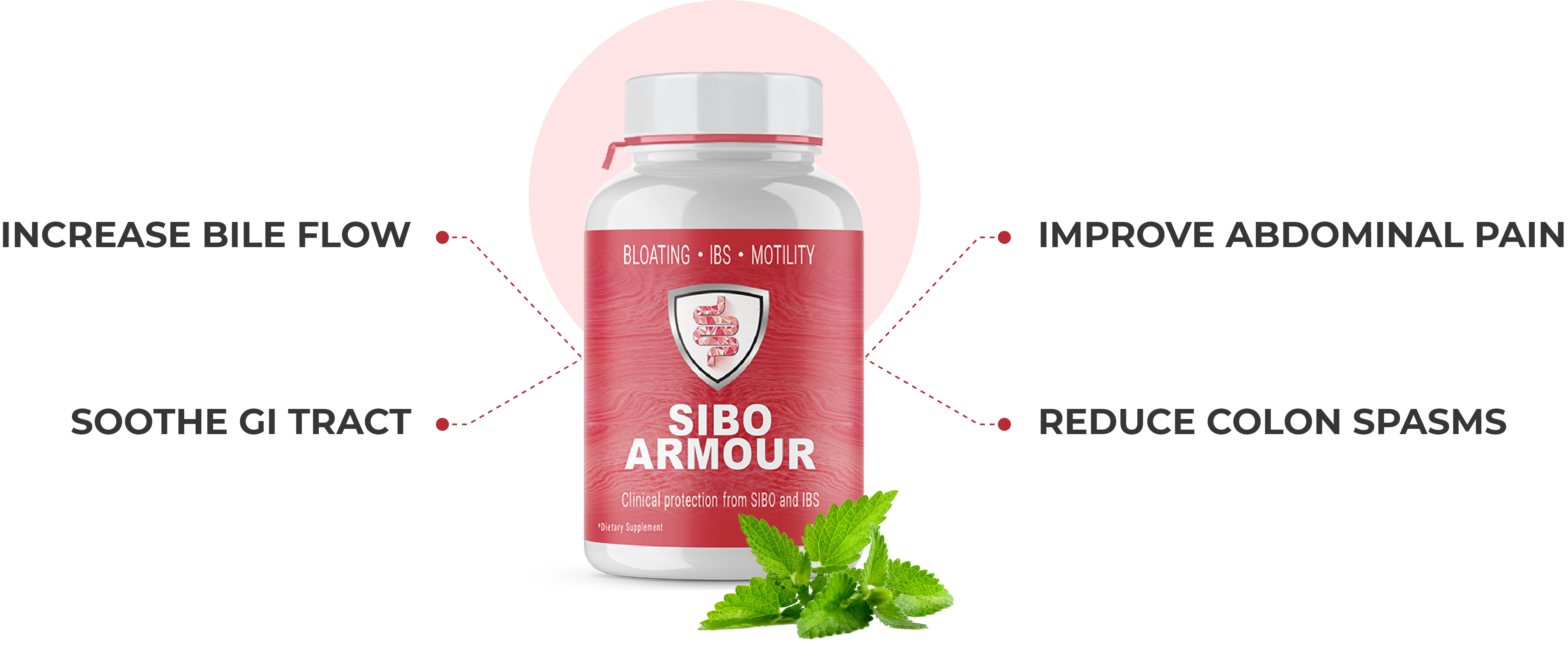 SIBO ARMOUR PEPPERMINT OIL SIBO ARMOUR PEPPERMINT OIL