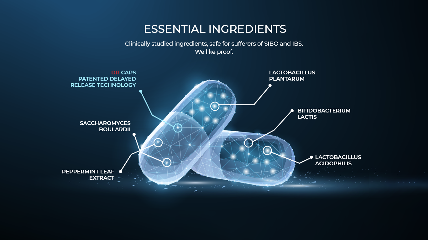 SIBO ARMOUR Ingredients SIBO ARMOUR Ingredients