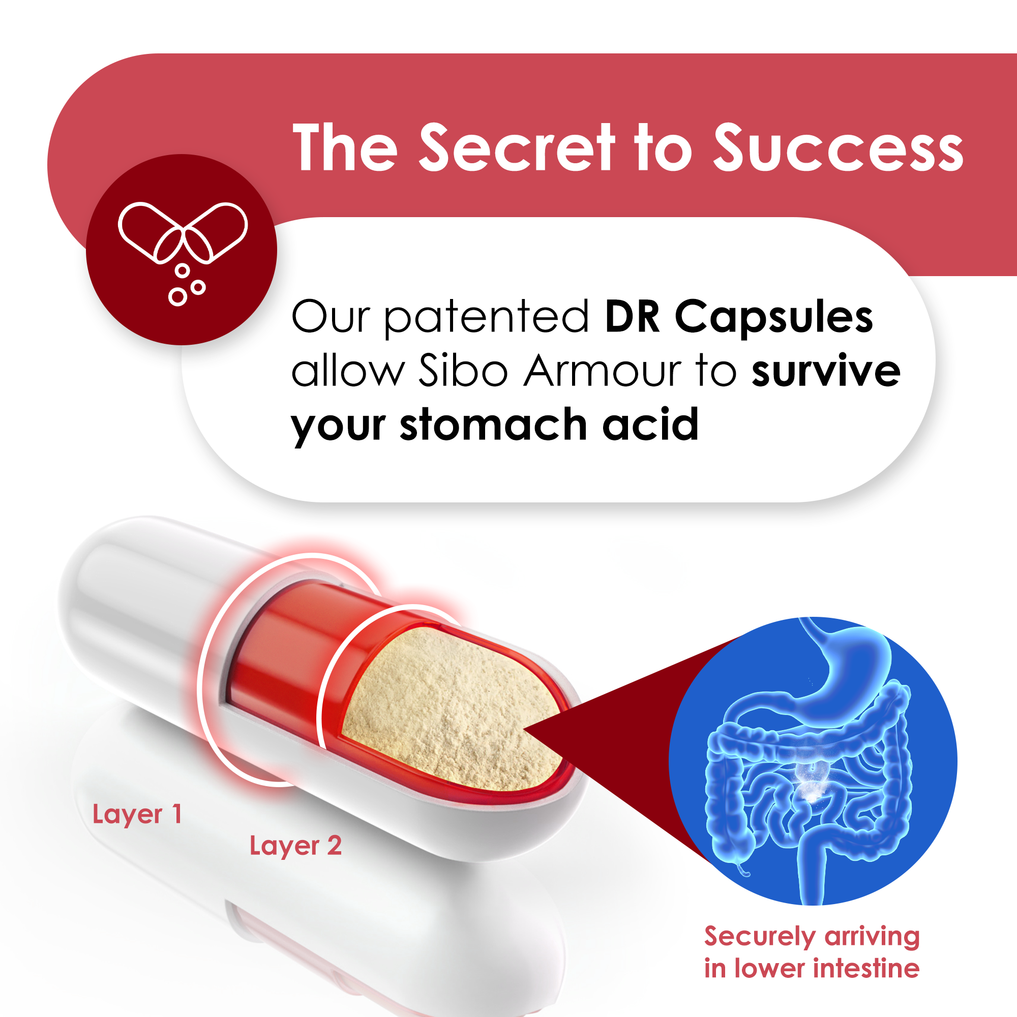 SIBO ARMOUR SIBO ARMOUR