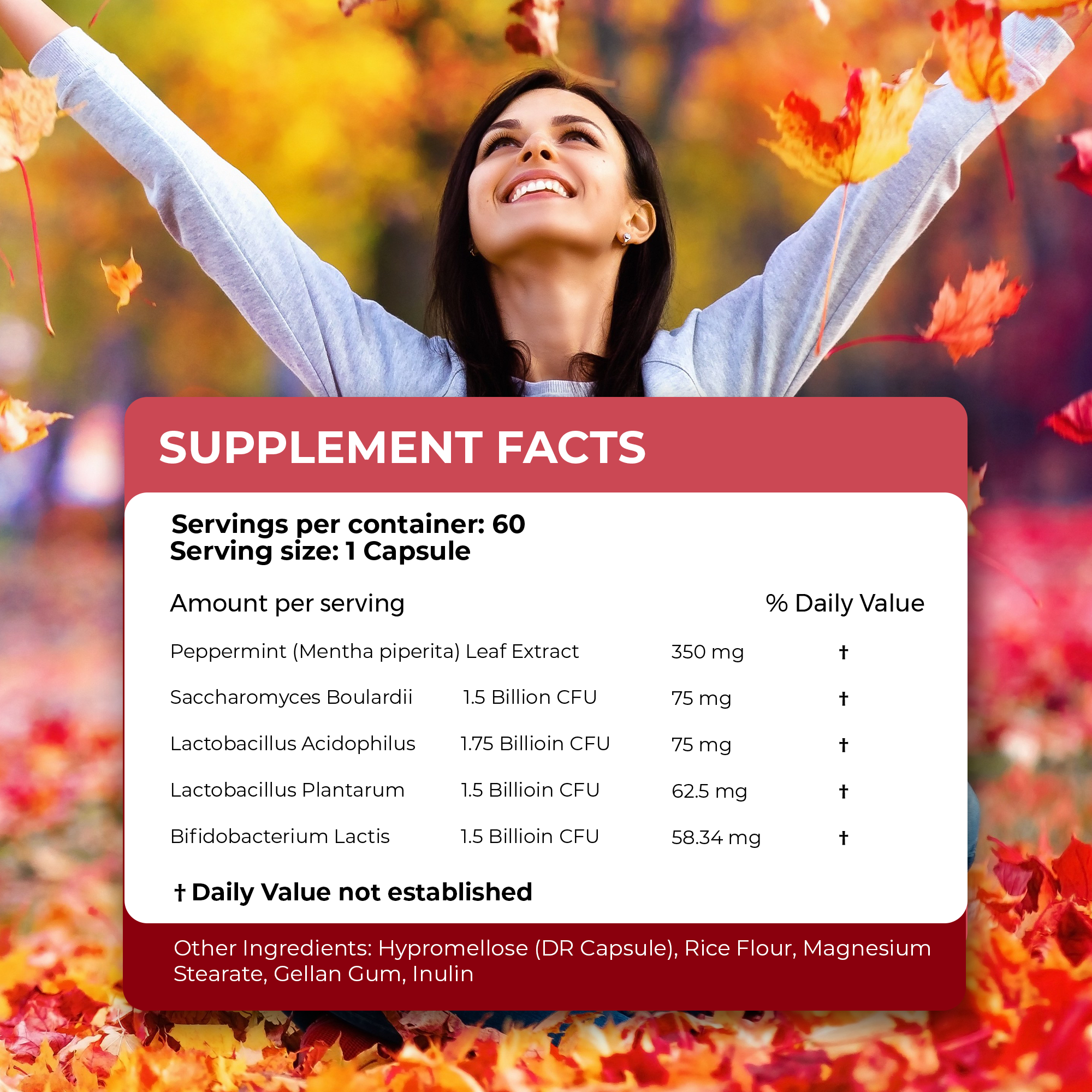 SIBO ARMOUR SIBO ARMOUR