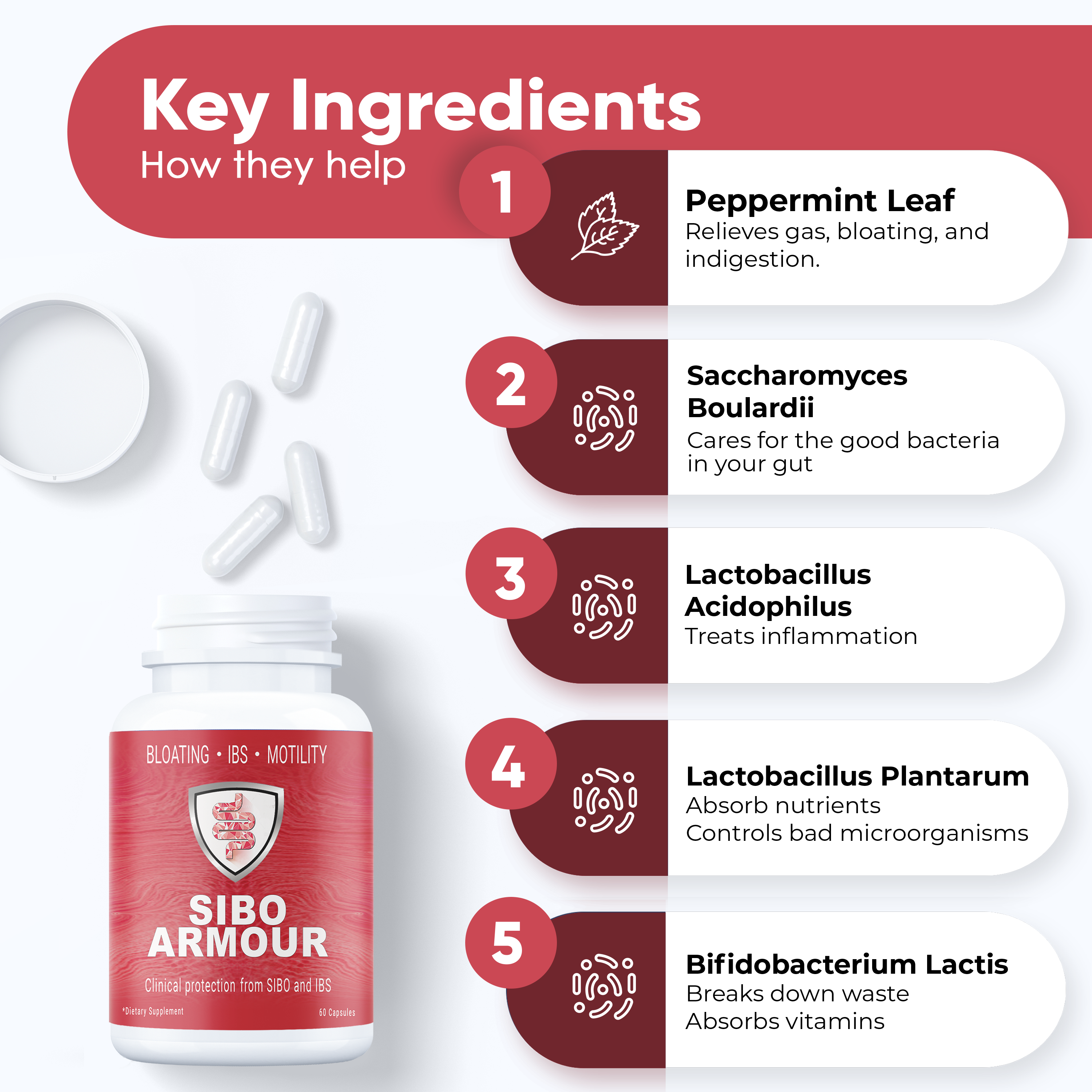 SIBO ARMOUR SIBO ARMOUR