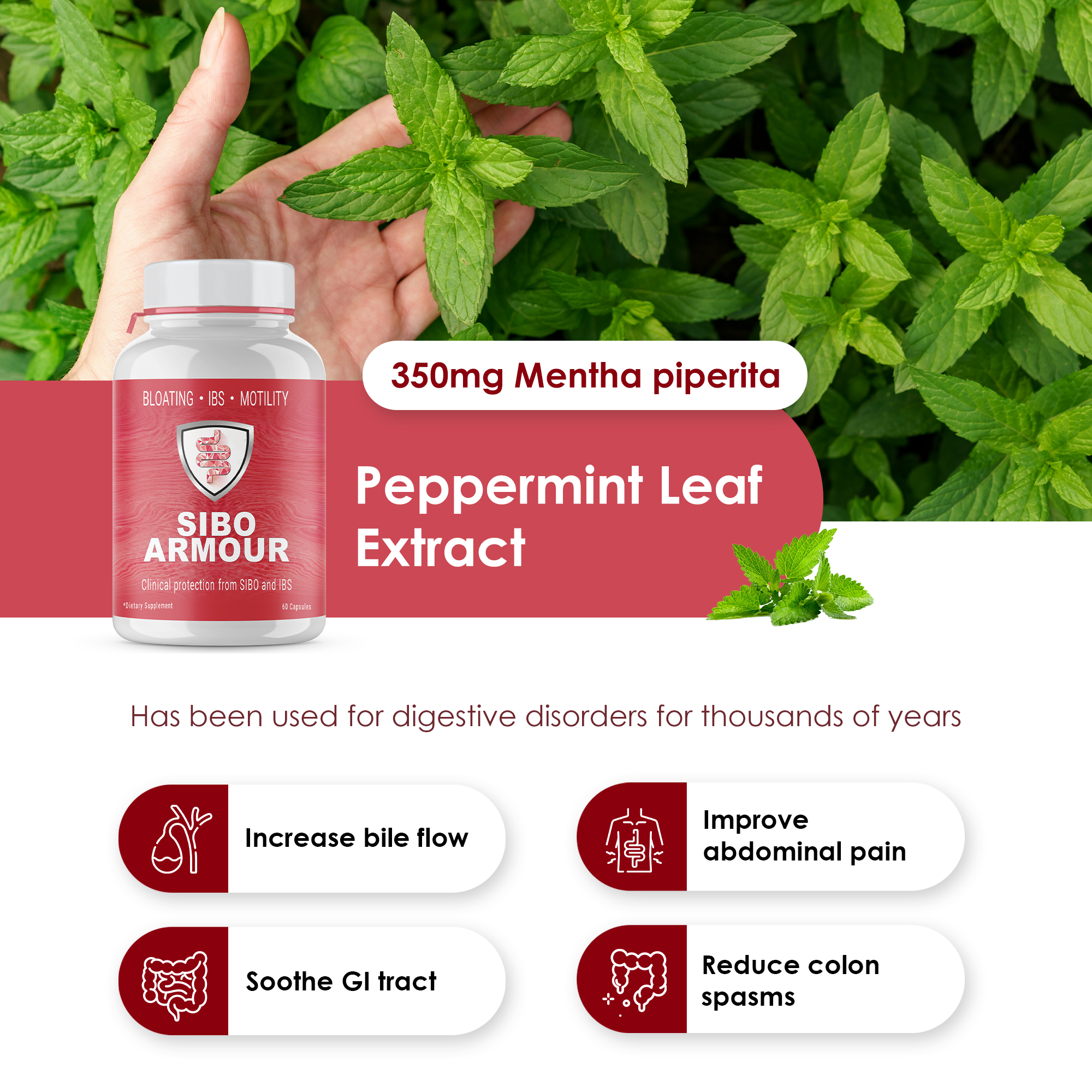 SIBO ARMOUR SIBO ARMOUR